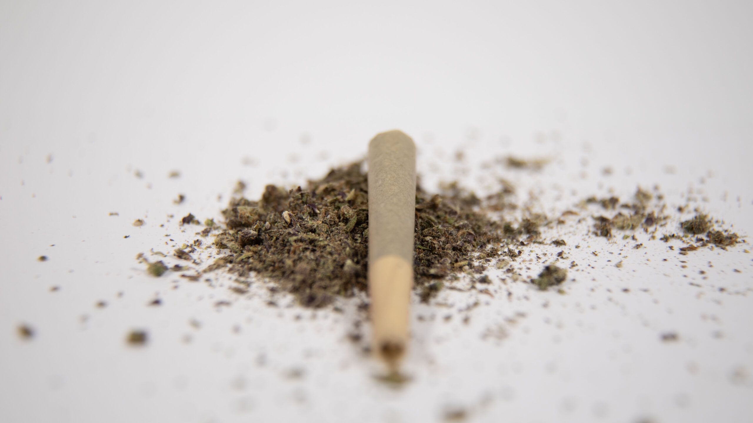 Mexico’s Path to Cannabis Decriminalization: A Legal and Social Shift